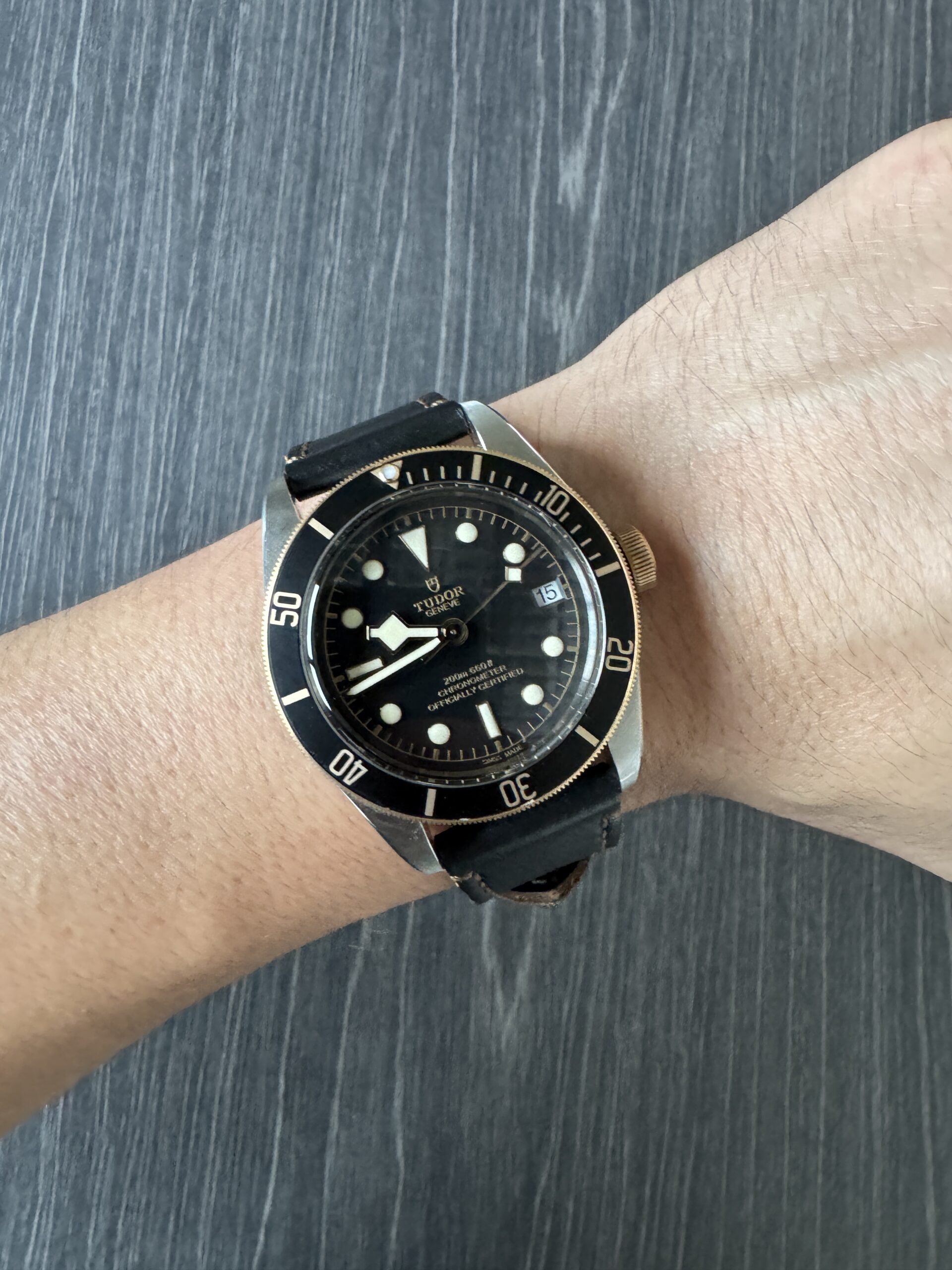 tudor black bay S&G 79733n